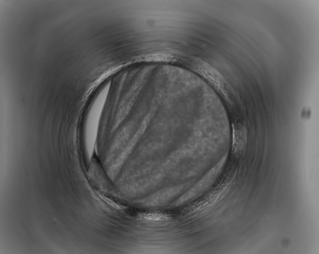 X0000098020348200804251142