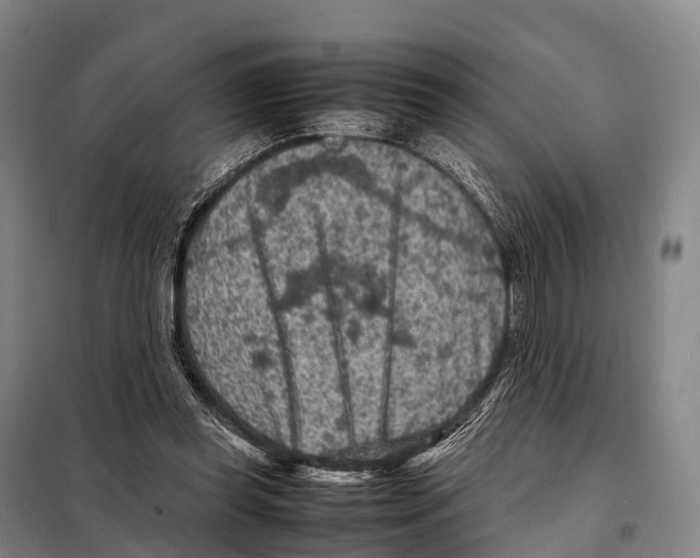 X0000098020349200804251142