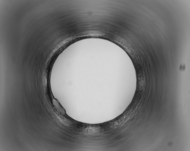 X0000098020350200804251142