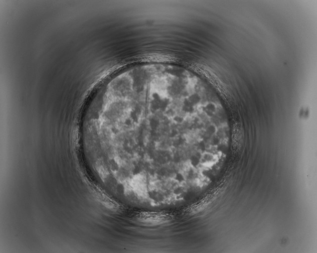 X0000098020351200804251142