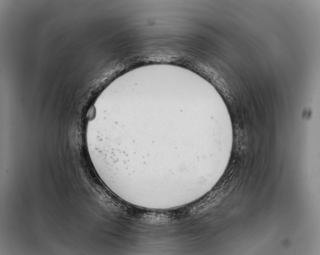 X0000098020354200804251143