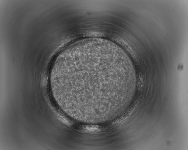 X0000098020355200804251143
