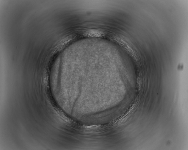 X0000098020359200804251143
