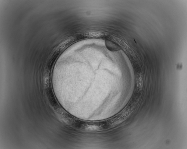 X0000098020360200804251143