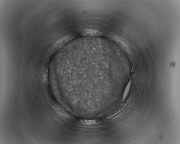 X0000098020361200804251143