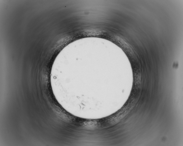 X0000098020362200804251143