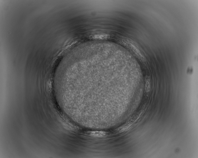 X0000098020363200804251143