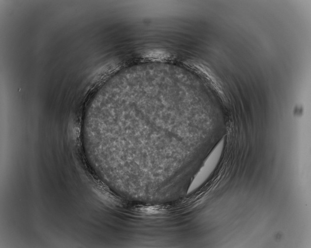 X0000098020365200804251143