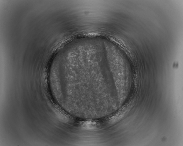 X0000098020366200804251143