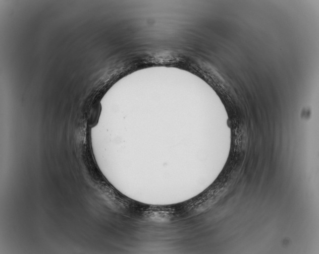 X0000098020368200804251143