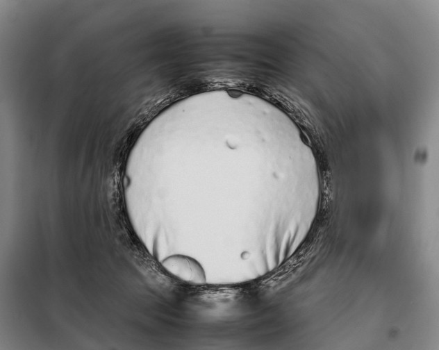 X0000098020369200804251143