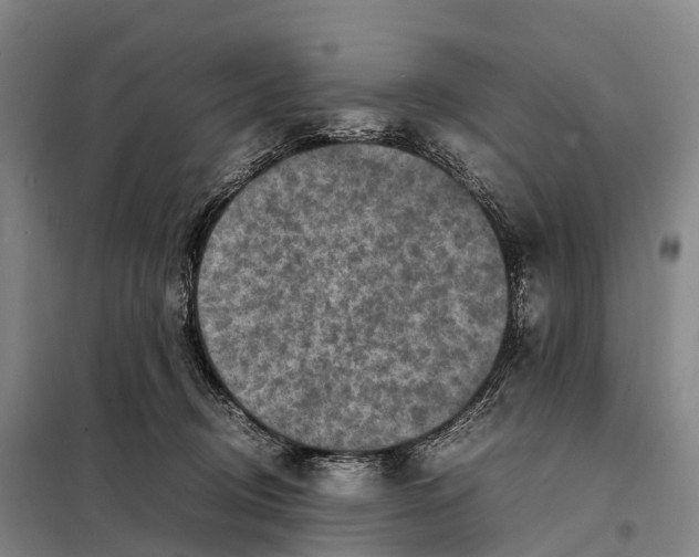 X0000098020370200804251143