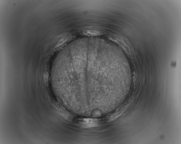 X0000098020371200804251143