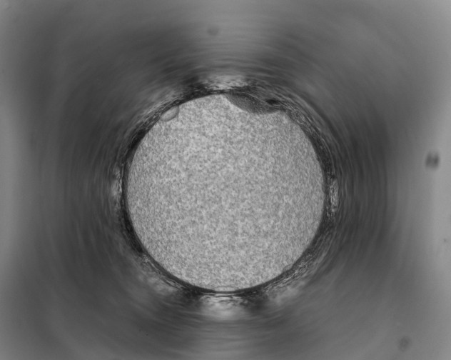 X0000098020372200804251143
