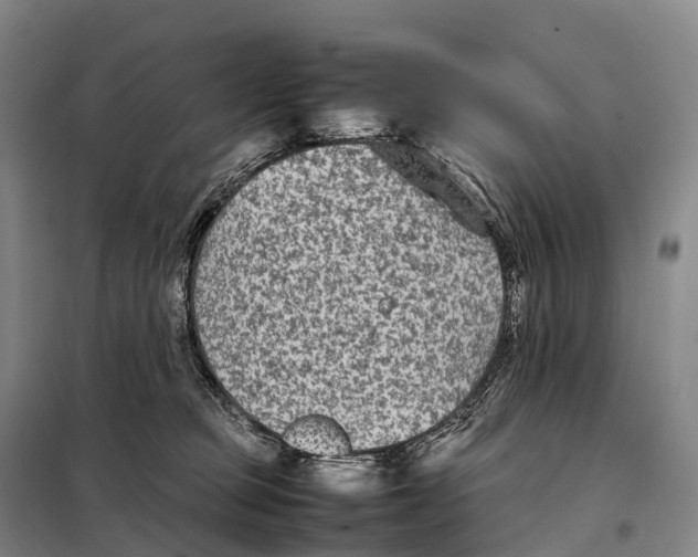 X0000098020373200804251143