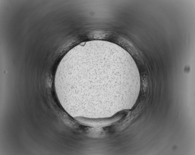 X0000098020374200804251143