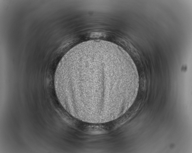 X0000098020375200804251143