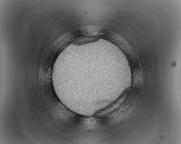 X0000098020376200804251143