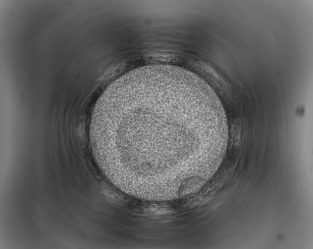 X0000098020377200804251143