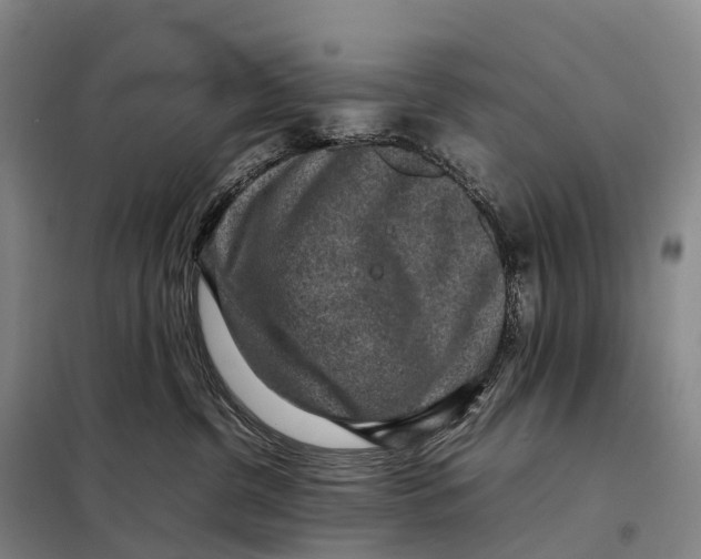X0000098020380200804251143