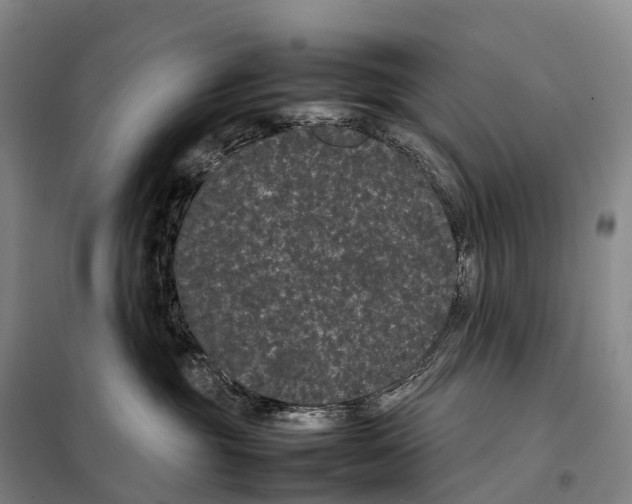 X0000098020381200804251143