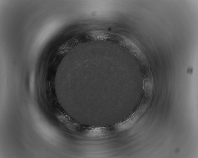 X0000098020382200804251143