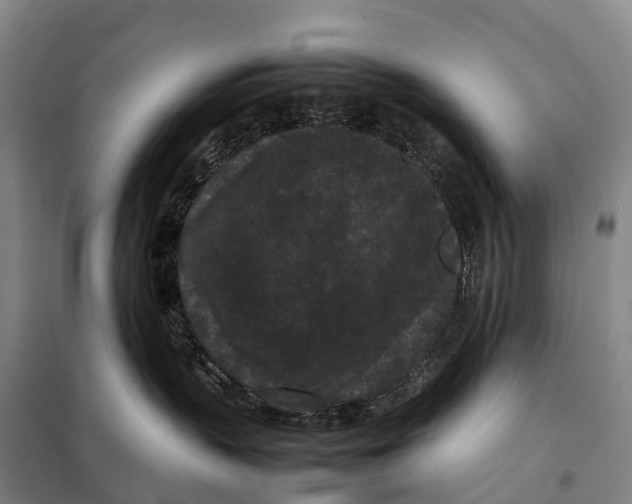 X0000098020383200804251143