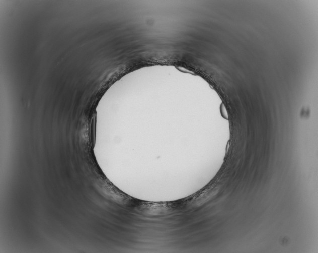 X0000098020384200804251143