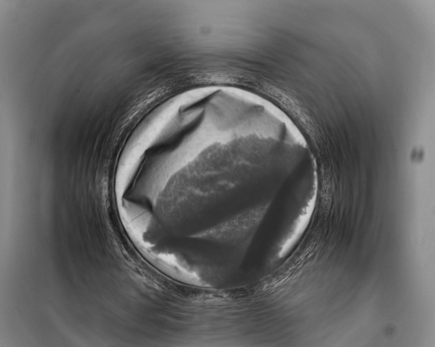 X0000098020386200804251142