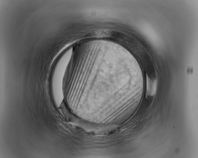 X0000098020387200804251142