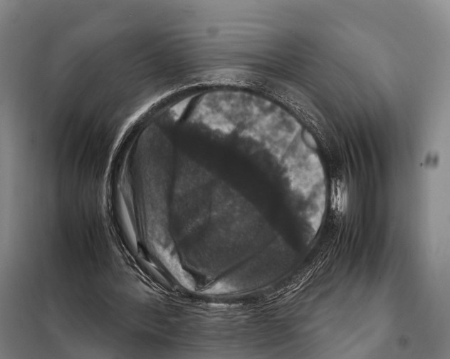 X0000098020388200804251142