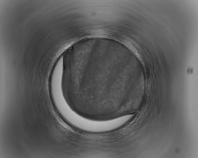 X0000098020389200804251142