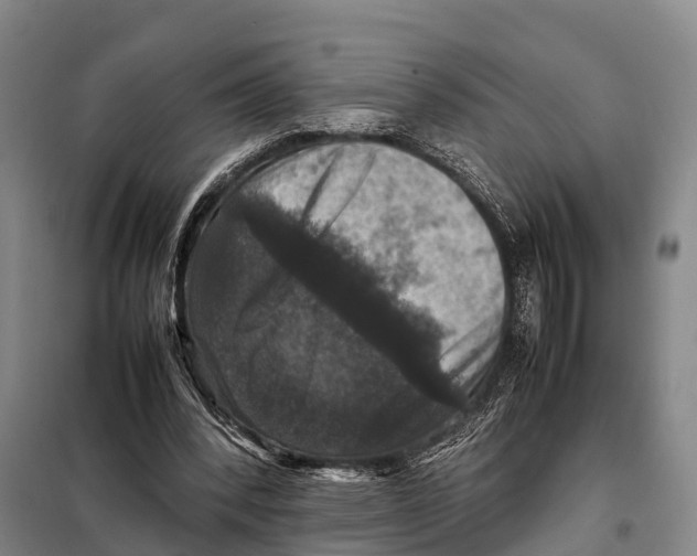 X0000098020392200804251142