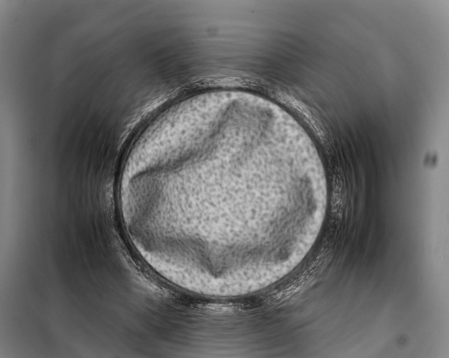 X0000098020394200804251142