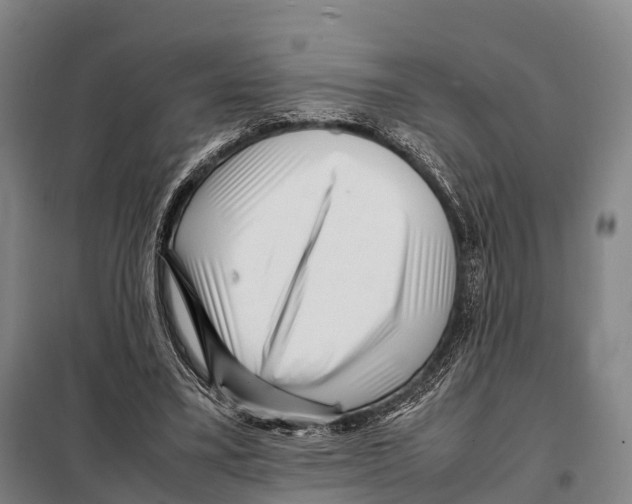X0000098020395200804251142