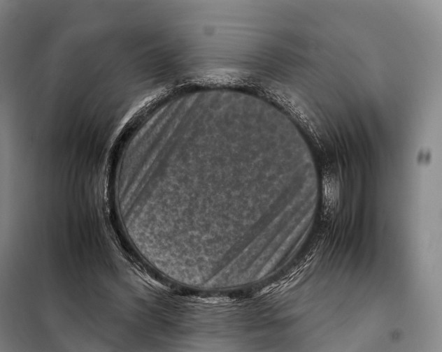 X0000098020396200804251142