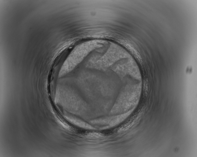 X0000098020397200804251142