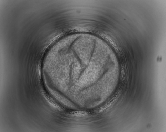 X0000098020398200804251142