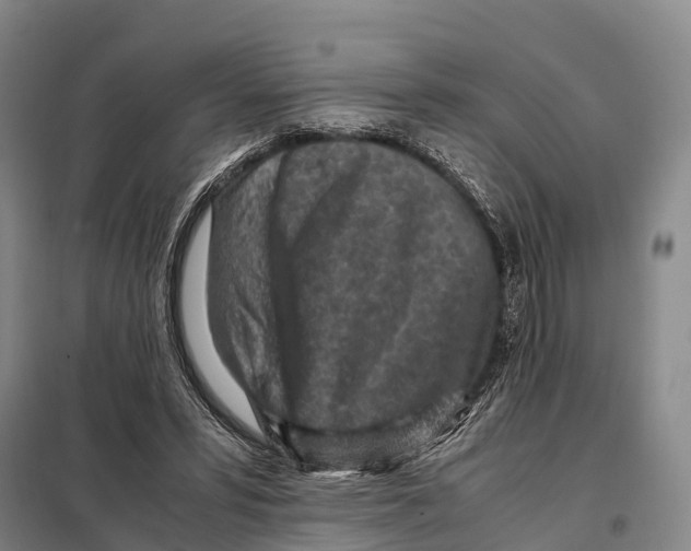 X0000098020399200804251142