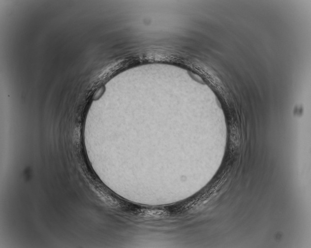 X0000098020401200804251142