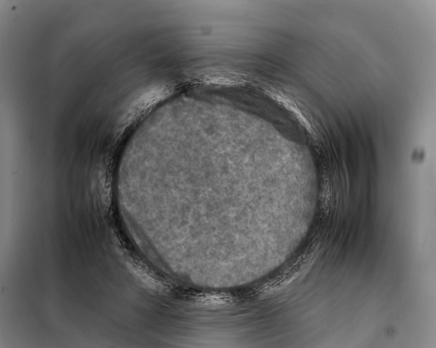 X0000098020402200804251142