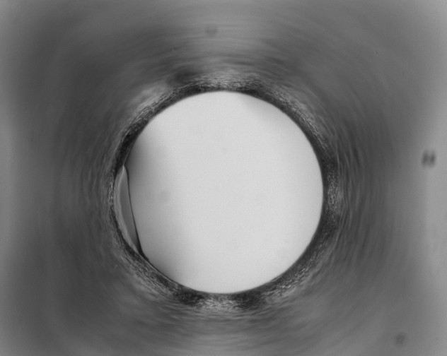 X0000098020403200804251142