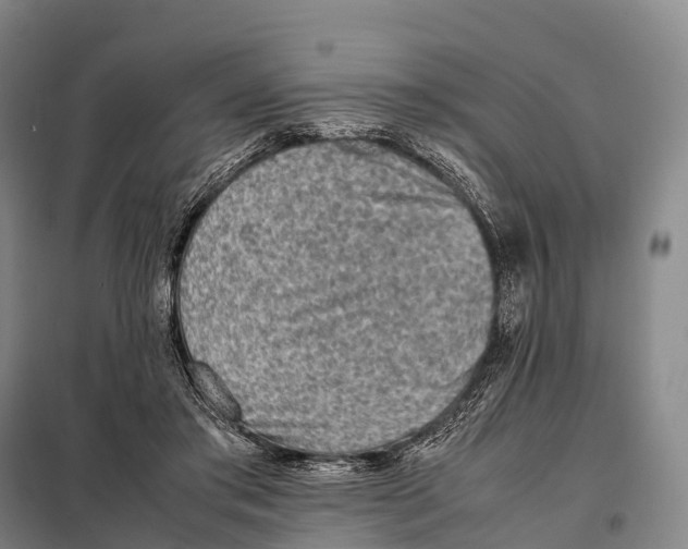 X0000098020405200804251142