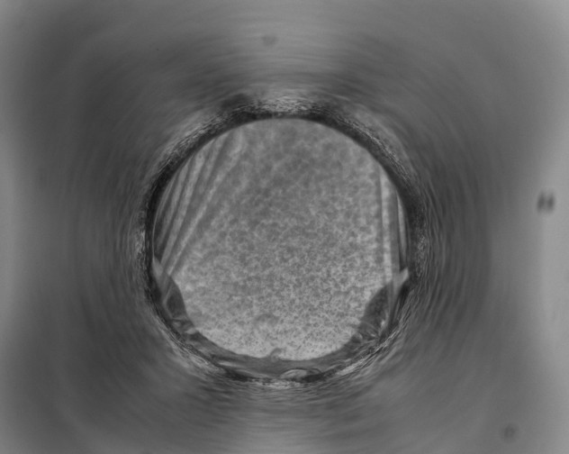 X0000098020407200804251142