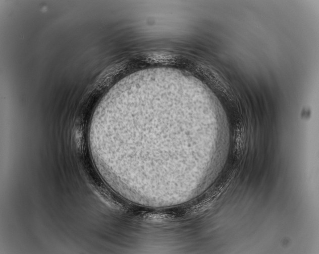 X0000098020408200804251142