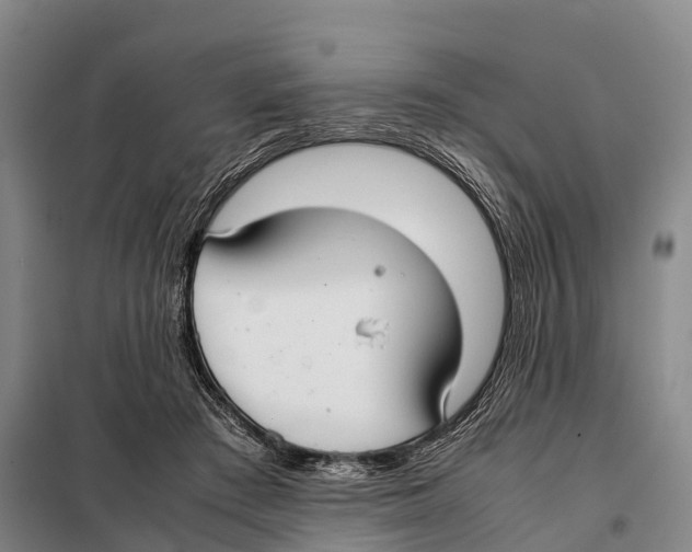 X0000098020409200804251142