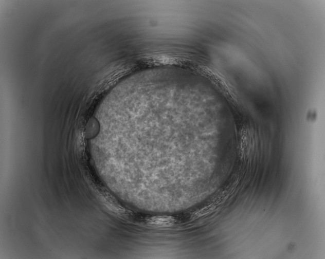 X0000098020410200804251142