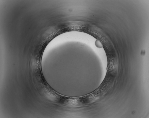 X0000098020411200804251142