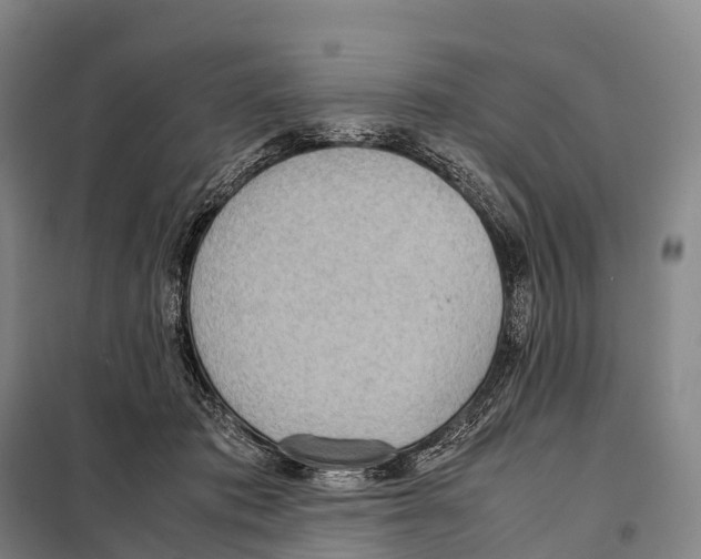 X0000098020413200804251142