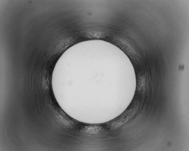 X0000098020414200804251142